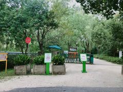 -西湖风景区-江洋畈生态公园