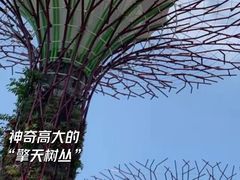 -圣淘沙名胜世界