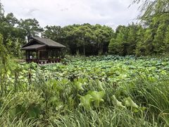 -梁鸿国家湿地公园