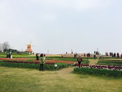 -杭州湾海上花田景区