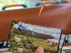 -普洱太阳河森林公园