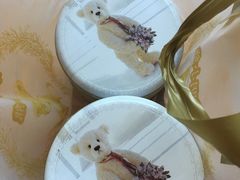 -珍妮曲奇聪明小熊(上环店)