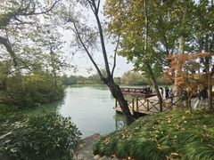 -西溪国家湿地公园