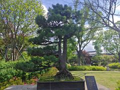 -江心屿景区