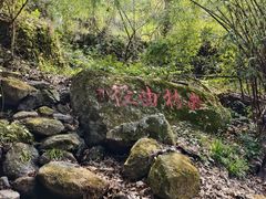 -梁野山景区