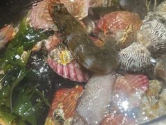 -大锅强·蒸海鲜青岛菜(吾悦广场店)