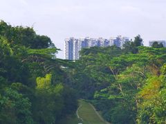 -武吉知马自然保护区