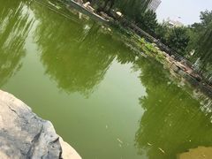 -黄村公园