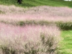 -钟山体育运动公园