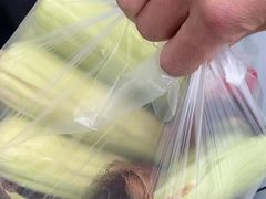 -南汇新场正宗水蜜桃采摘