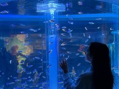 -海合安成都极地海洋公园
