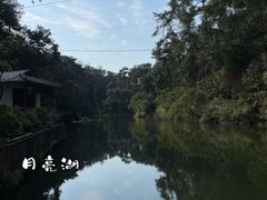 -南山植物园