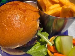 -bluefrog蓝蛙(皇庭广场店)