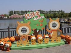 -上海长兴岛郊野公园