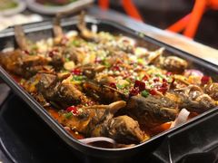 -青青河边草·小小河边鱼(万达广场太仓店)