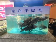-鸽子侯·家宴·平价海鲜(市图书馆店)