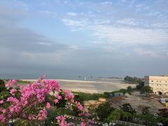 -马六甲鸡场街