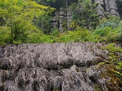 -梭布垭石林景区