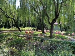 -石家庄市动物园