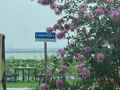 -七的湖·晚芳亭·阳澄湖农家菜·大闸蟹(莲花岛店)