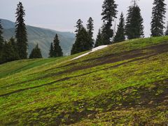 -新疆那拉提国家旅游度假区