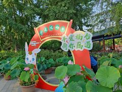 -莲花池公园