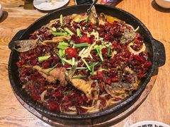 -老板恋上鱼(高新万达店)
