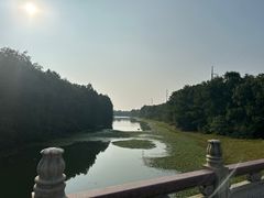 -上海海湾国家森林公园