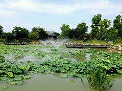 -鹅湖玫瑰文化园
