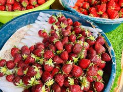 -南坛综合农贸市场