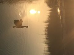 iphone_upload_pic-苏州金鸡湖大酒店