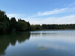 -溱湖国家湿地公园