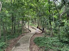 -上海佘山国家森林公园天马山园