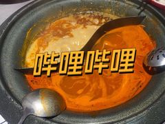 -生活如沸·顺德水牛奶火锅(大学路店)