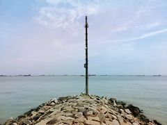 -上海滨江森林公园