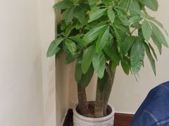 -梦都海鲜酒家(万达广场江桥店)