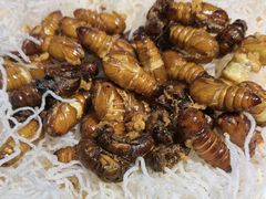 -和源祥·日照菜扛把子(万平口一店)