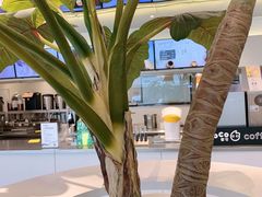 -CoCo都可(崇川万象城店)