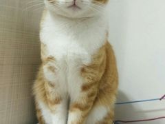 -伟伟宠物医院·CT影像中心·瑞派犬猫综合性门诊(汉口总院)