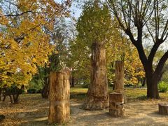 -国家植物园南园