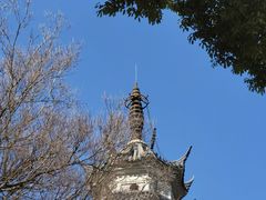 -苏州上方山国家森林公园