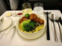 -新加坡航空公司(ION)