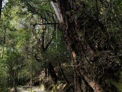 -腾冲云峰山