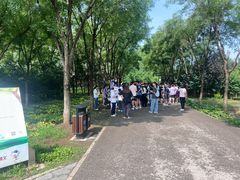 -东郊湿地公园