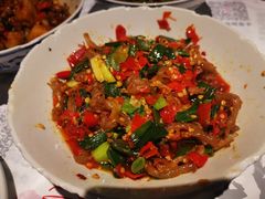 鸭掌筋-壹盏灯(惠农店)