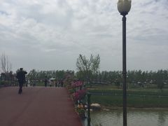 -荷兰花海