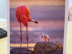 -BLACKSWAN黑天鹅(环球店)