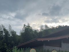 -都江堰中华大熊猫苑