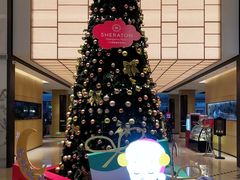-广州奥园喜来登酒店
