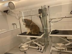 -comecome来吧宠物(奥克斯中心店)